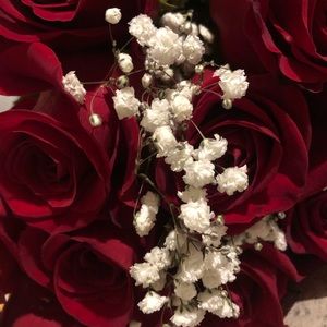 Meet your Posher, Rena